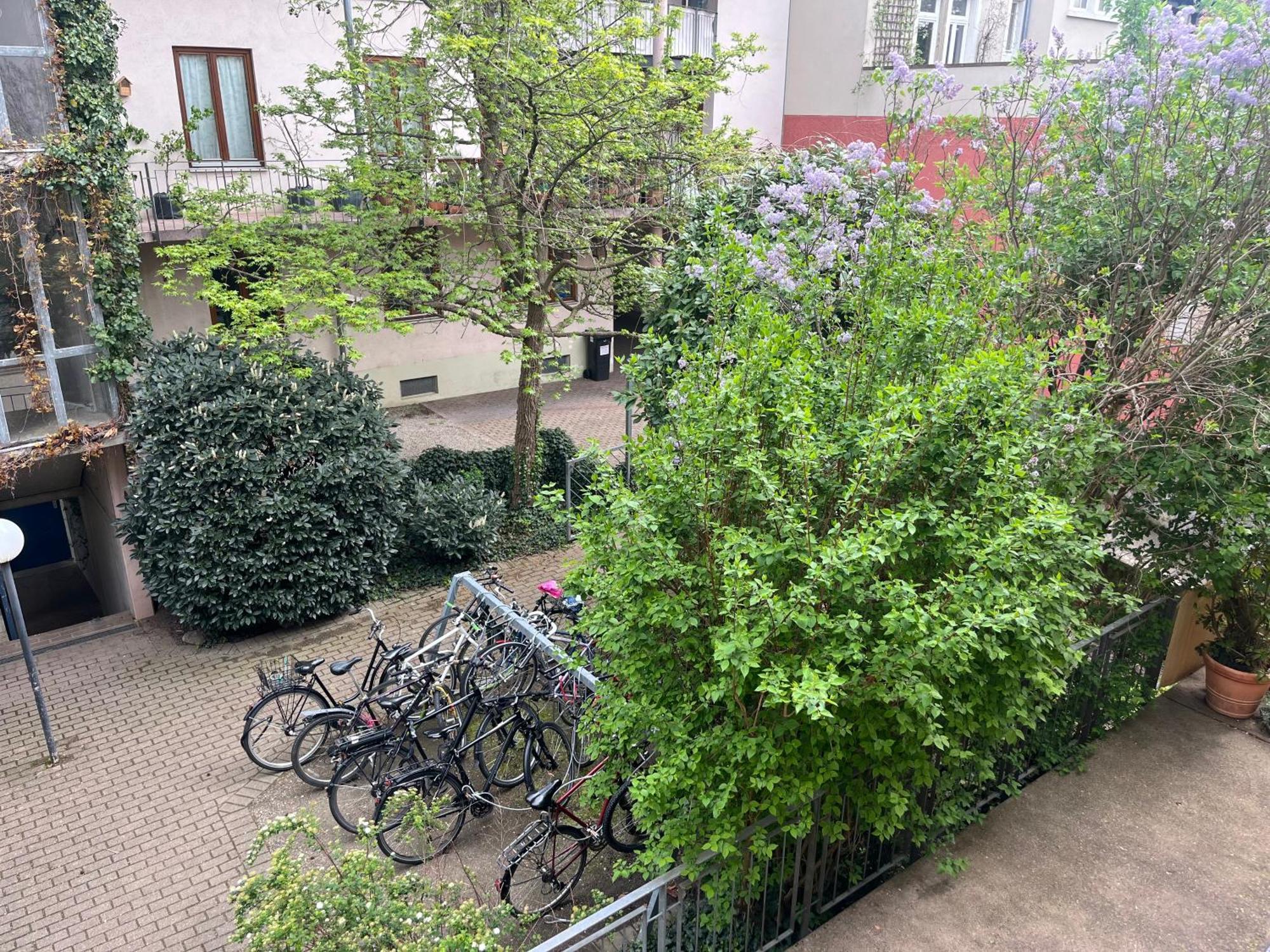 Haus Schoenwald Freiburg im Breisgau Exterior foto