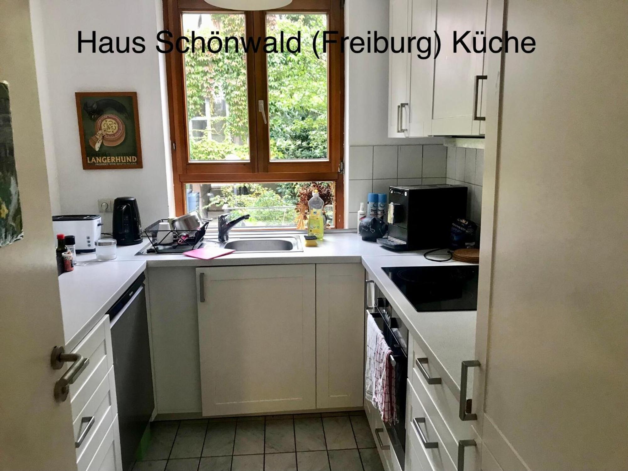 Haus Schoenwald Freiburg im Breisgau Exterior foto